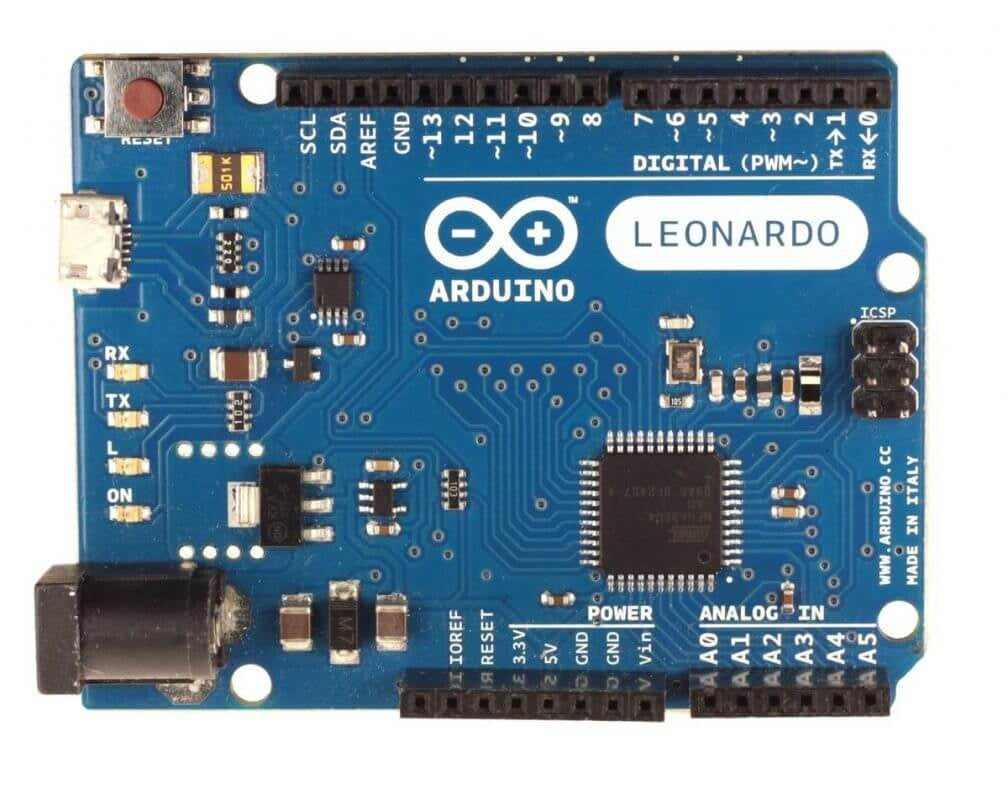 Leonardo1-1.jpg Main image