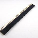 40-pin right-angle female header