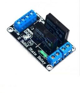 2 Channel SSR Module