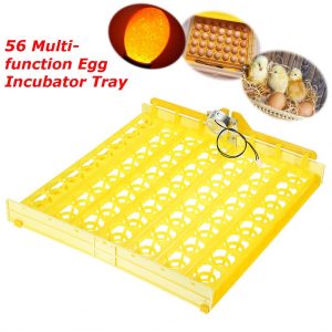 Poultry Chicken Incubator Tray