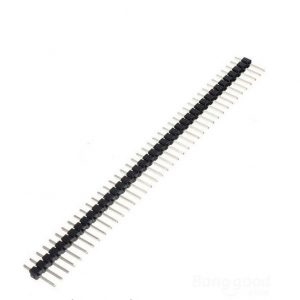 40 Pin Male Header
