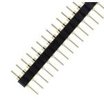Gold Plated Male 40-Pin