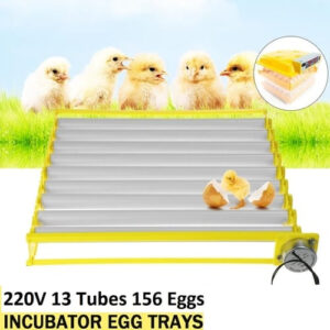 156 Eggs 220V Automatic Egg Incubator